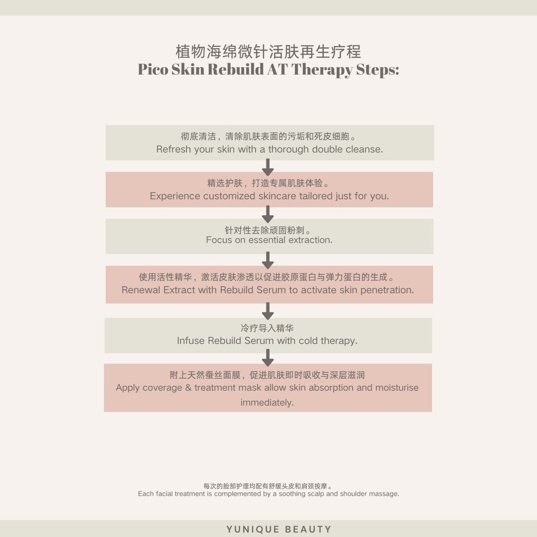 Pico Skin Rebuild AT Therapy 植物海绵微针皮肤重建护理